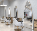 Arch-Top LED Full-Length Salon Mirror with Gold Frame
